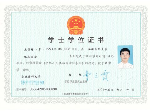 本科学士学位证书