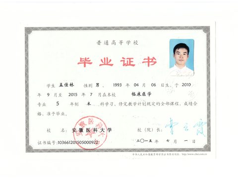 本科毕业证书