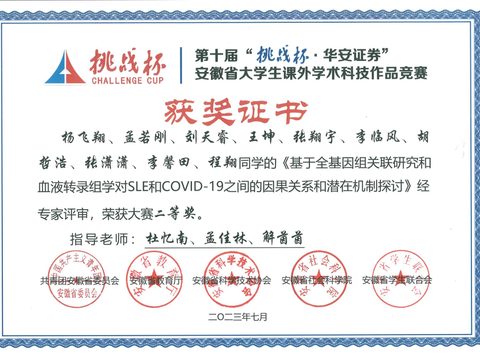 挑战杯 安徽省二等奖
