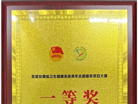 首届安徽省卫生健康系统青年志愿服务项目大赛 一等奖（点点星光）